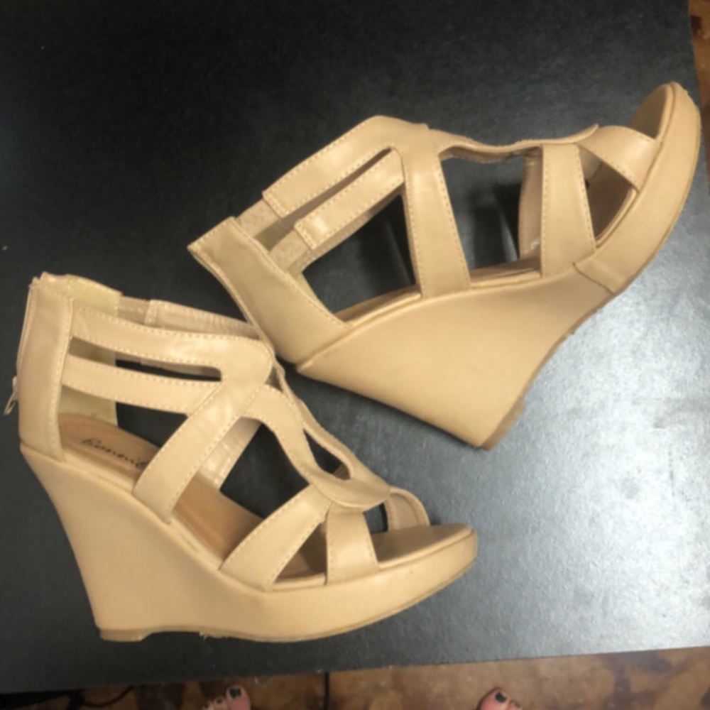 5 1/2 wedges